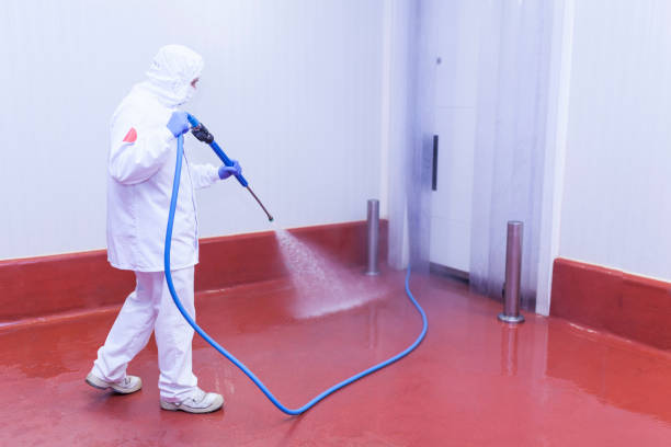 Best Brick and Stone Cleaning in Grantsburg, WI